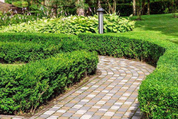 Paved Landscaping in Surprise
