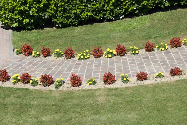 Garden Paving in Surprise