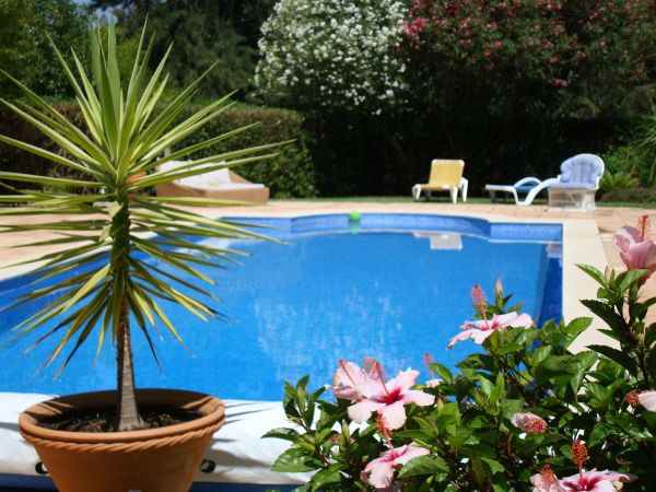 Pool Terrace Renovation in Surprise