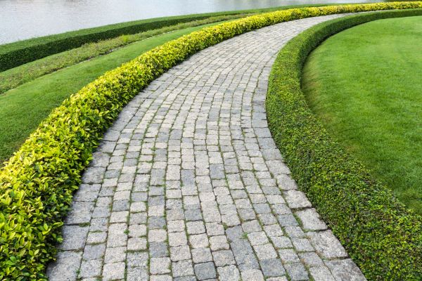 Sidewalk Pavers Installation in Surprise